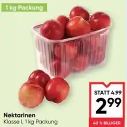 Maximarkt Nektarinen Angebot
