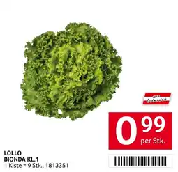 Transgourmet Lollo bionda Angebot