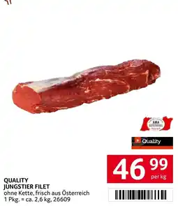 Transgourmet Jungstier filet Angebot