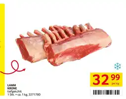 Transgourmet Lamm krone Angebot