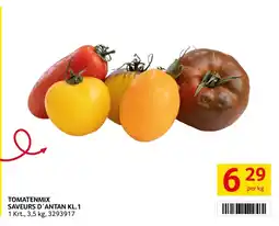 Transgourmet Tomatenmix saveurs d'antan Angebot