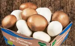 Eurospar Bad Blumauer Bio-Champignon Mix Angebot