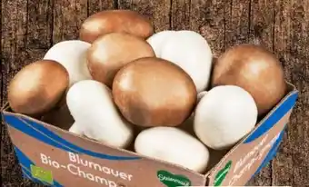 Eurospar Bad Blumauer Bio-Champignon Mix Angebot