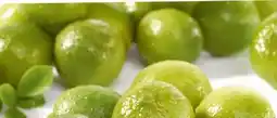 Eurospar Spar Natur pur Bio-Limetten Angebot