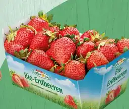Spar Spar Natur pur Bio-Erdbeeren Angebot