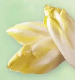 SPAR Gourmet Chicorèe-Salat Angebot