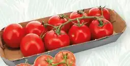 SPAR Gourmet Midi-Rispentomaten Angebot