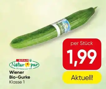 Wiener Bio-Gurke