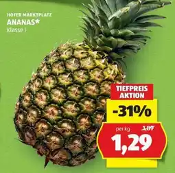 Hofer ANANAS Angebot