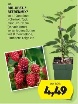 Hofer BIO-OBST-/BEERENMIX Angebot
