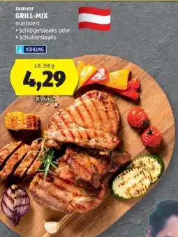 Hofer FAIRHOF GRILL-MIX Angebot