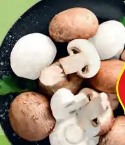 Hofer Hofer Marktplatz Bio-Champignon Angebot