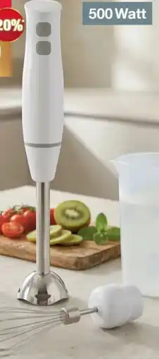Woolworth Stabmixer-Set Angebot