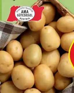 Hofer Hofer Marktplatz Kartoffeln Angebot