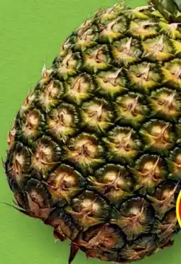Hofer Hofer Marktplatz Ananas Angebot