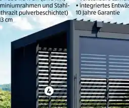 Hofer GFP Designpergola Aluminium Nero Angebot