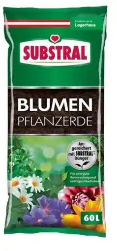 Lagerhaus Substral blumenpflanzerde torfreduziert Angebot