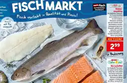 Interspar Eismeer- seesaibling Angebot