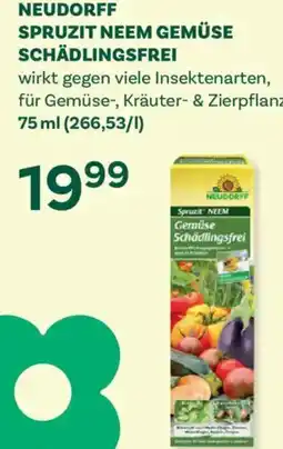 Bellaflora Neudorff spruzit neem gemüse schädlingsfrei Angebot