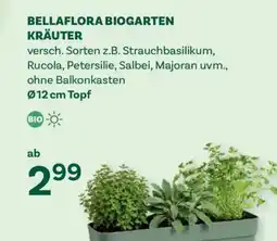 Bellaflora Bellaflora biogarten kräuter Angebot