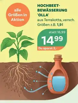 Bellaflora Hochbeet- bewässerung 'olla' Angebot