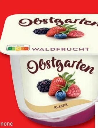 Lidl Obstgarten Angebot