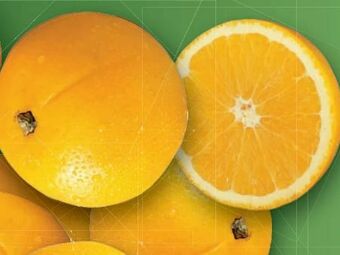 Lidl Orangen Angebot