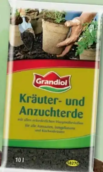 Lidl Kräuter-Anzuchterde Angebot
