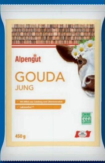 Lidl Bergbauern Gouda Angebot
