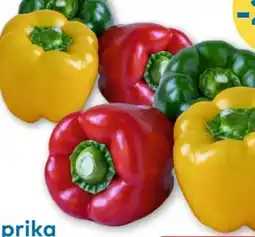 T&G Paprika Tricolore Angebot
