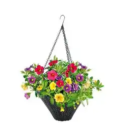 Hellweg Plantiflor Zauberglöckchen Ampel Angebot