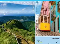 Hofer Hofer-Reisen Lissabon-Azoren-City-Trip-Inselhüpfen Angebot