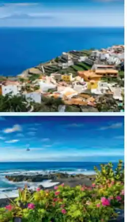 Hofer Hofer-Reisen Sternfahrt Spanien Teneriffa Angebot