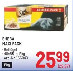 Metro Sheba maxi pack Angebot