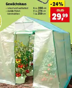 Thomas Philipps Gewächshaus Angebot