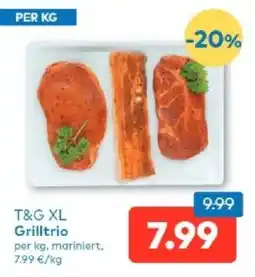 T&G T&G XL Grilltrio Angebot
