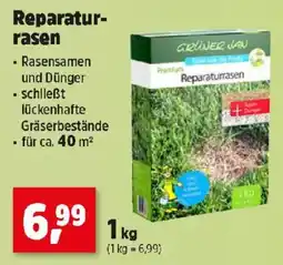 Thomas Philipps Reparatur- rasen Angebot