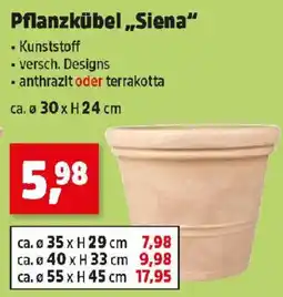 Thomas Philipps Pflanzkübel Siena Angebot