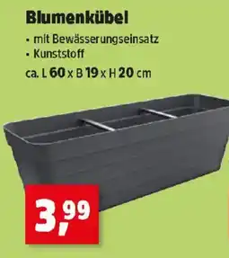 Thomas Philipps Blumenkübel Angebot