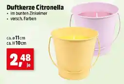 Thomas Philipps Duftkerze citronella Angebot