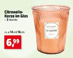 Thomas Philipps Citronella- Kerze im Glas Angebot