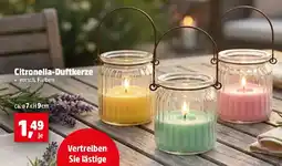 Thomas Philipps Citronella-Duftkerze Angebot