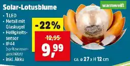 Thomas Philipps Solar-Lotusblume Angebot