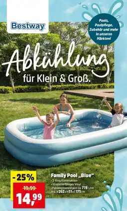 Thomas Philipps Family Pool Blue Angebot