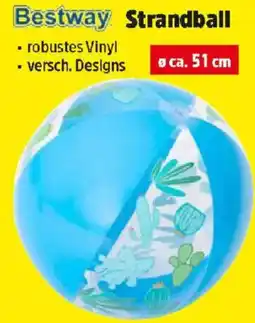 Thomas Philipps Bestway Strandball Angebot