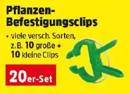 Thomas Philipps Pflanzen- Befestigungsclips Angebot