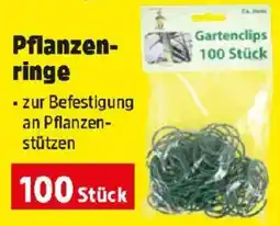 Thomas Philipps Pflanzen- ringe Angebot
