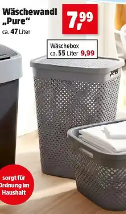 Thomas Philipps Wäschewandl Pure Angebot