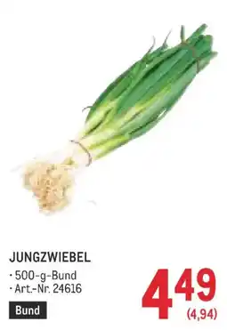 Metro Jungzwiebel Angebot