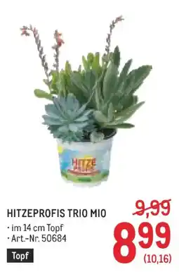 Metro Hitzeprofis trio mio Angebot
